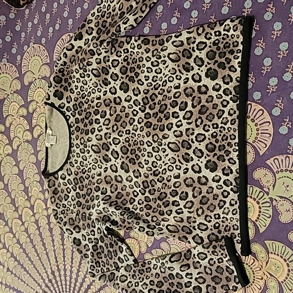 Investments Sweaters - Investments Animal Print 100% Cahmere Sweater - Here Kitty, Kitty!